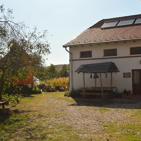 Pensiune Agroturistica Hanna Ocland Esterno foto