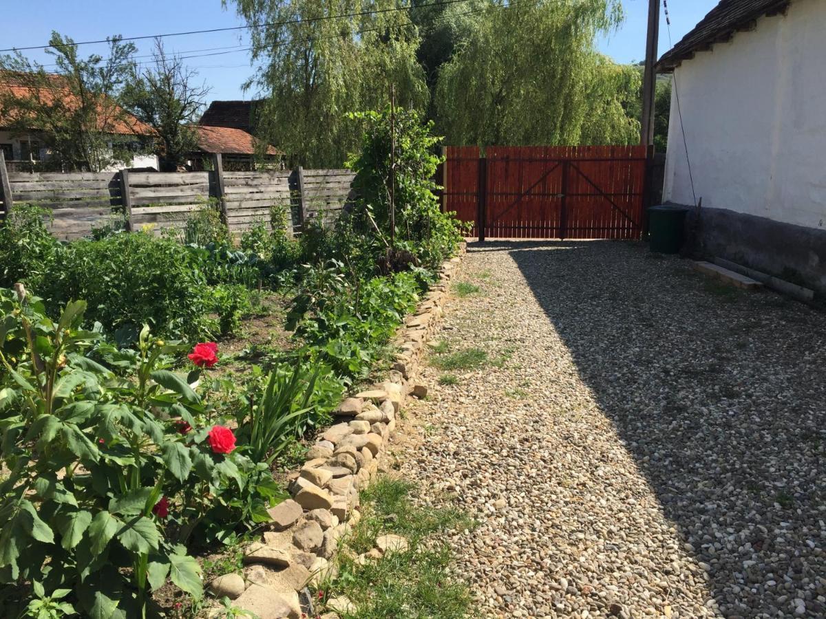 Pensiune Agroturistica Hanna Ocland Esterno foto