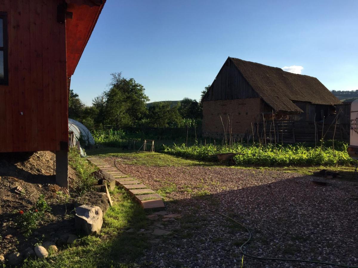 Pensiune Agroturistica Hanna Ocland Esterno foto