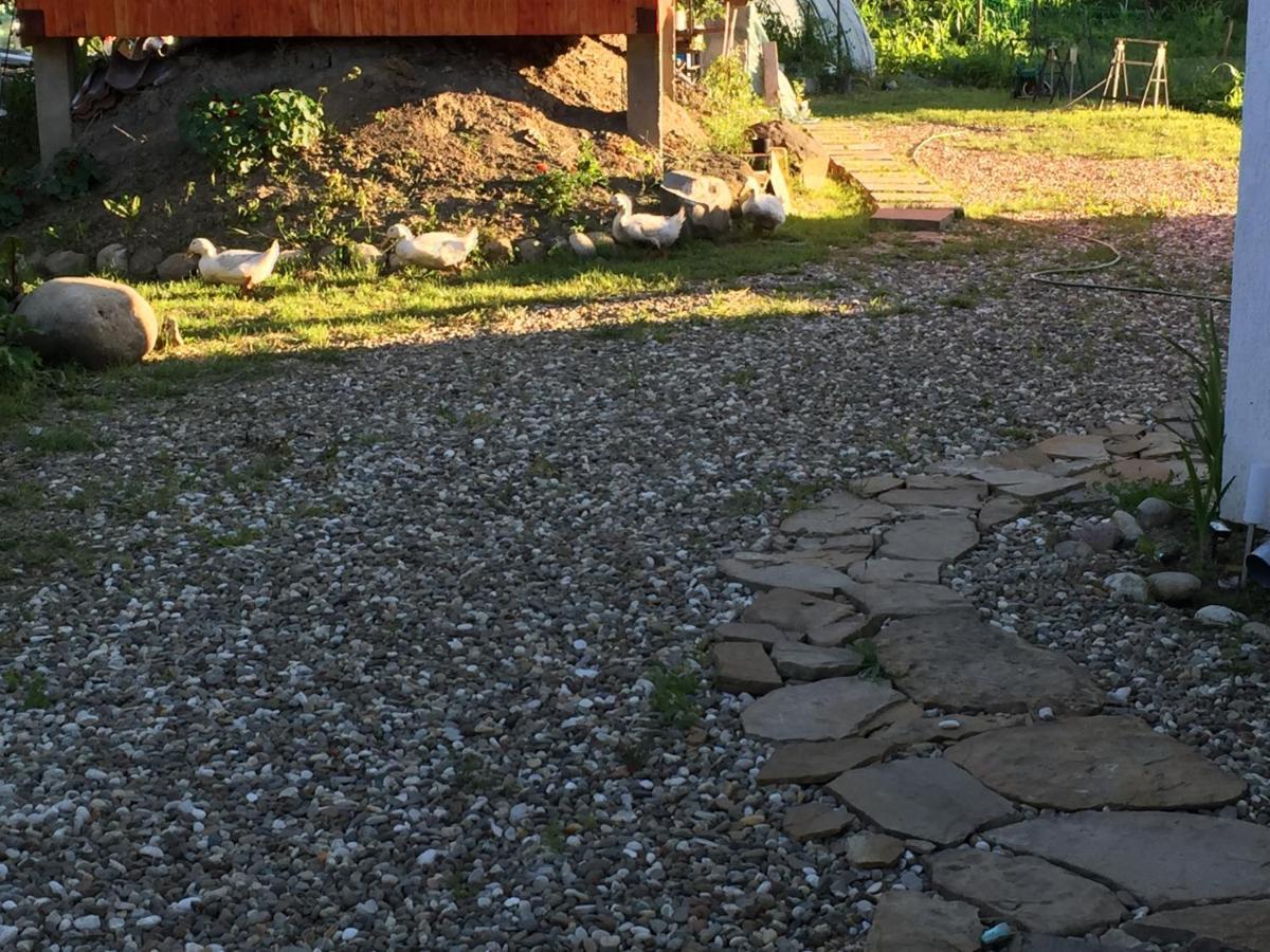 Pensiune Agroturistica Hanna Ocland Esterno foto