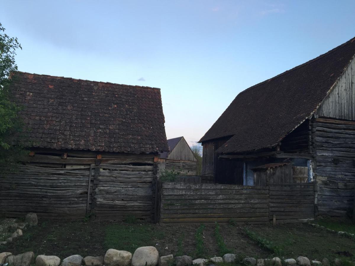 Pensiune Agroturistica Hanna Ocland Esterno foto