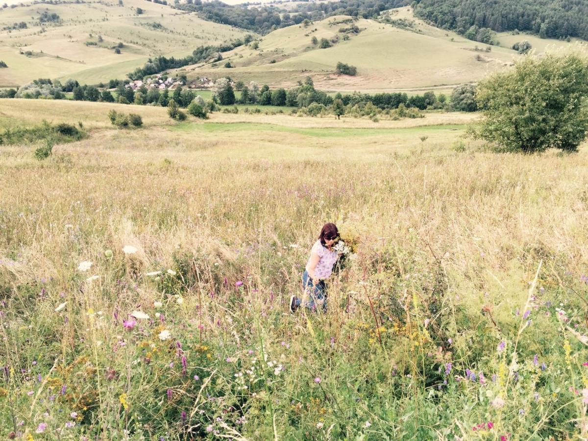 Pensiune Agroturistica Hanna Ocland Esterno foto