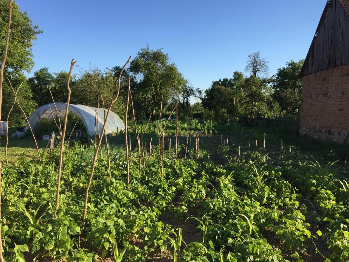 Pensiune Agroturistica Hanna Ocland Esterno foto